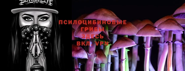 МДПВ Кулебаки