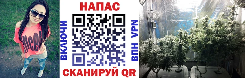 Купить  Нюрба  Марихуана тримм 